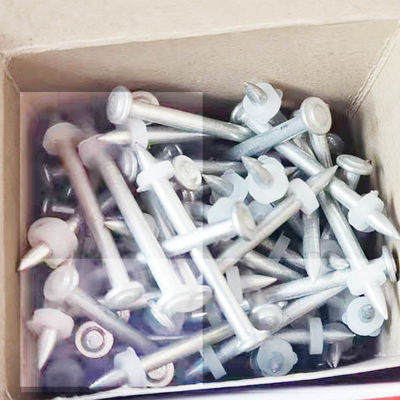 7.6mm Diamètre de la tête DN Clou de tir pour une installation rapide et facile