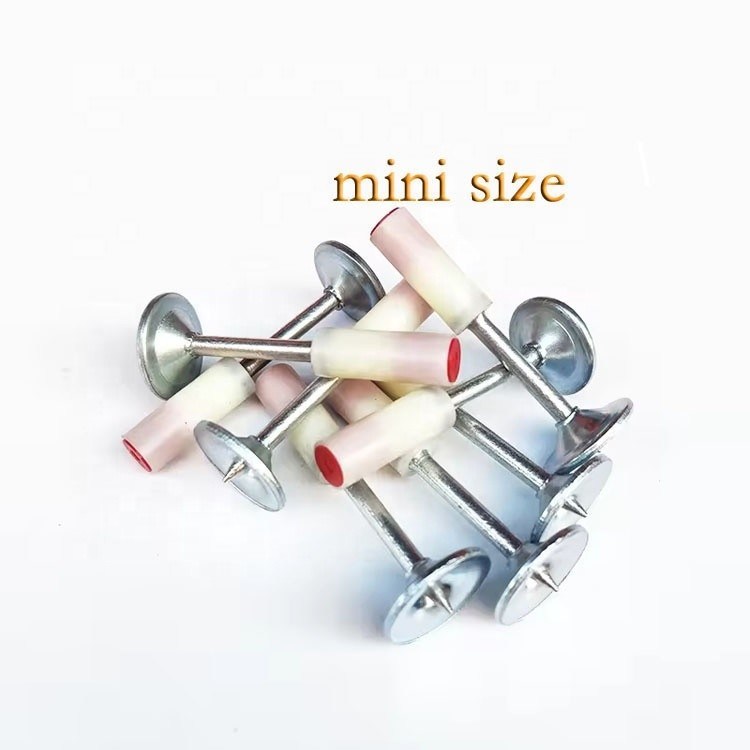7.3mm Tête 25mm Longueur Mini Style Ongles ronds avec 16mm Laveuse métallique et fer
